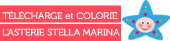 Télécharge et colorie l'asterie Stella Marina