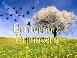 OFFERTA 25 APRILE E 1° MAGGIO: PRIMAVERA A MISANO