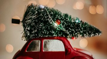 Natale al SoleMare – Magia, Relax e Cenone