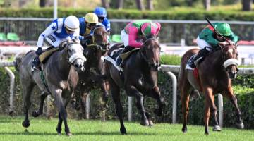 Riviera Horses Special